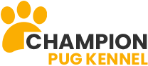  Champion Pug Kennel